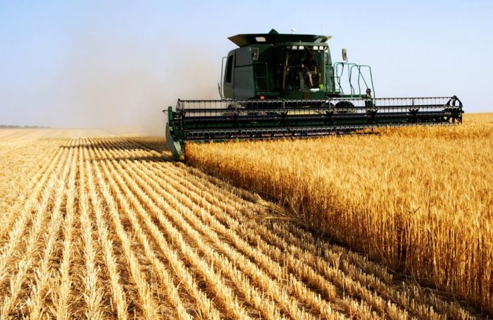 Le Maroc au cœur d’un programme agricole américain de 226 millions de dollars