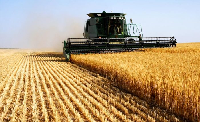 Irrigation de complément : un levier stratégique pour stabiliser la production céréalière au Maroc