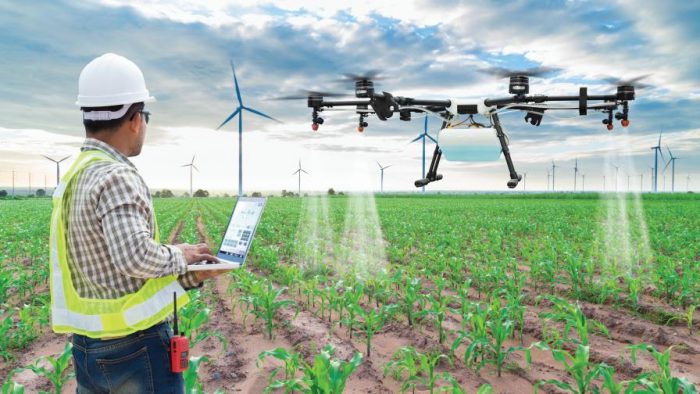 L&rsquo;Afrique est en passe de devenir un leader mondial de l&rsquo;Agritech