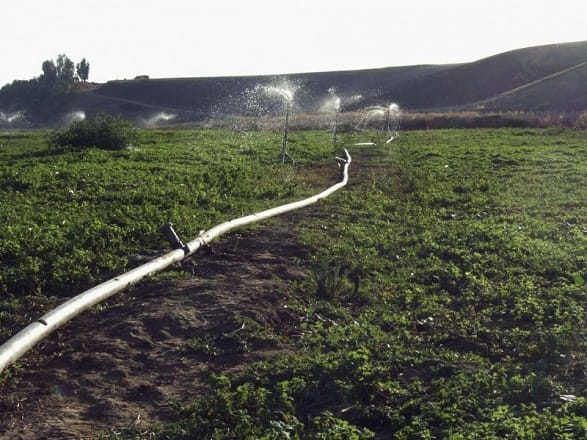 L&rsquo;agriculture-pêche s&rsquo;accapare plus de 34% de la dépense alimentaire