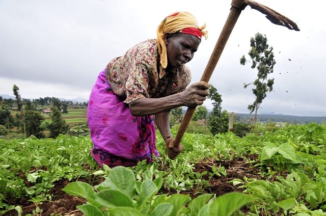 La FAO soutient l&rsquo;impact potentiel du PMV pour l&rsquo;Afrique