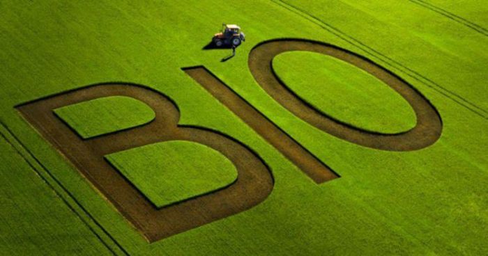 L&rsquo;agriculture biologique au Maroc
