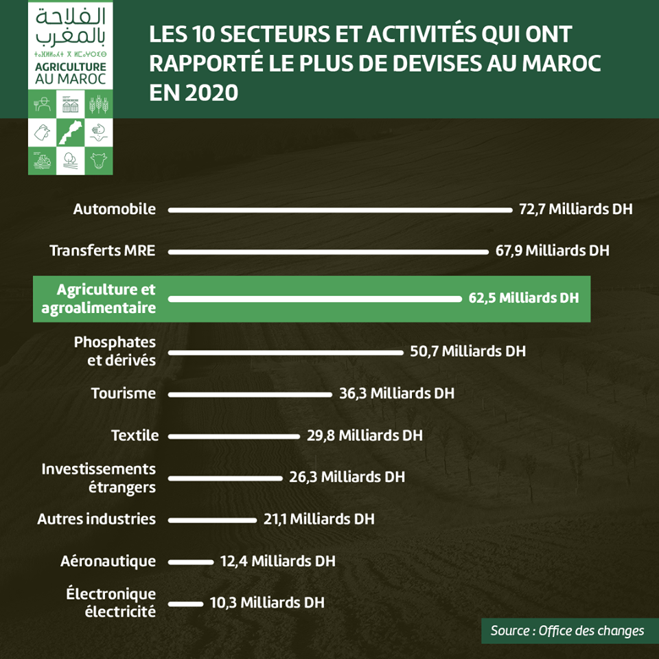 Le saviez-vous ? Le secteur agricole est la 3ème source de devises au Maroc !