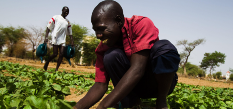 L&rsquo;agriculture malienne face à son potentiel en 2022