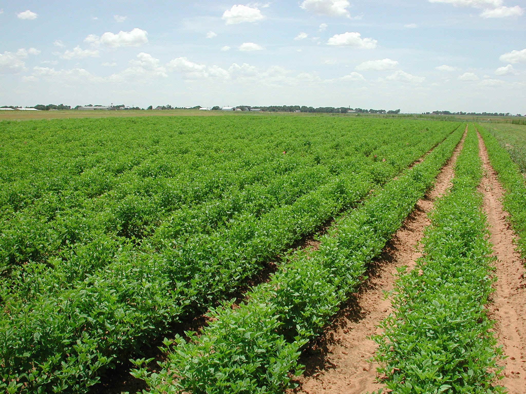 L’agriculture est-elle envisageable sur d’autres planètes ?