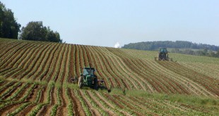 COP21: l'agriculture a sa place dans le débat