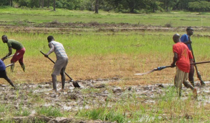 Le Cirad lance le projet Massire pour la gestion de l&rsquo;eau au Maghreb