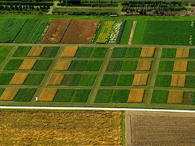 La Suisse se tourne vers le biologique