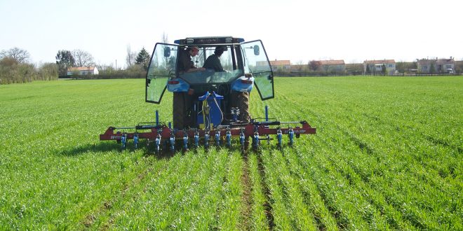 PMV: L'agence pour le développement agricole confie à Agriconsulting SPA l'évaluation du Pilier II