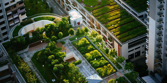 Vers une agriculture urbaine au Maroc