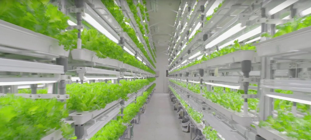 L’agriculture verticale: un concept en plein essor !
