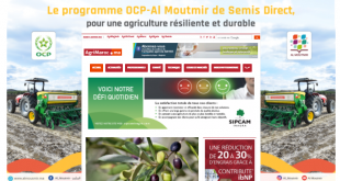 actualite agricole maroc maghreb afrique