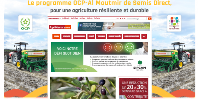 actualite agricole maroc maghreb afrique