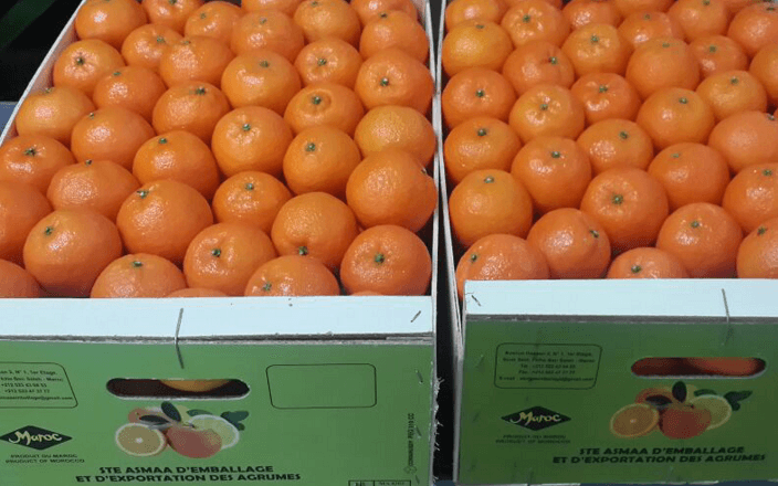 Agroalimentaire: Le Maroc ne profite pas du potentiel africain