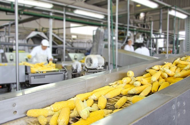Agroalimentaire: Les échanges entre le Maroc et l’Afrique de l’Ouest