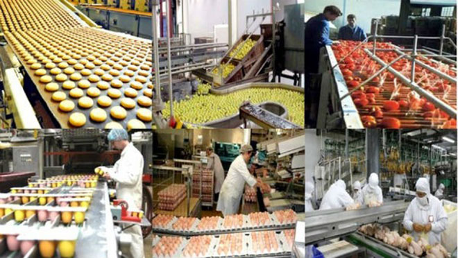 Les exportations de produits agroalimentaires marocains augmentent à 3,78 MT