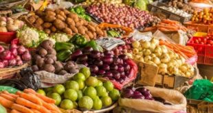 Dakhla : Vers la création d'un marché de gros de fruits et légumes