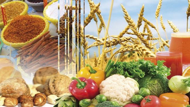 Agroalimentaire: Fès-Meknès en phase d’être un fief des investisseurs italiens