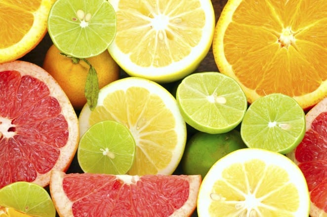 Le Maroc exportera 1,6 M de T d’agrumes, de fruits et de légumes