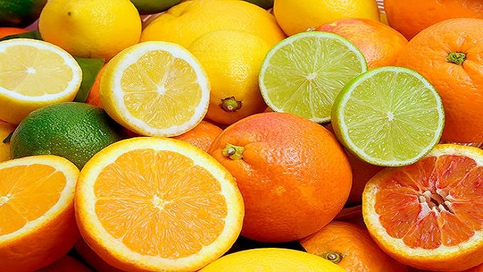 Les agrumes marocains connaissent une excellente saison aux États-Unis