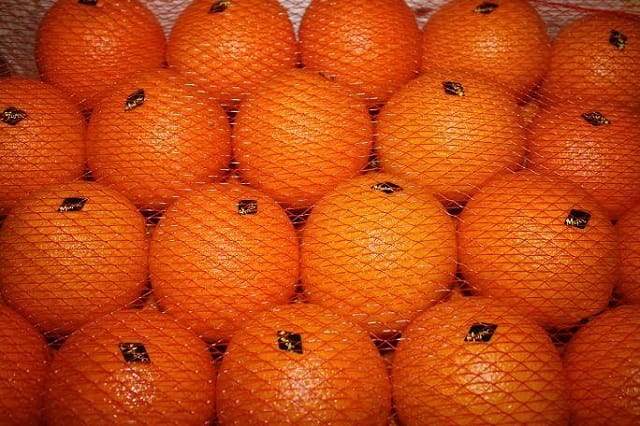 Agrumes: objectifs de production à la baisse