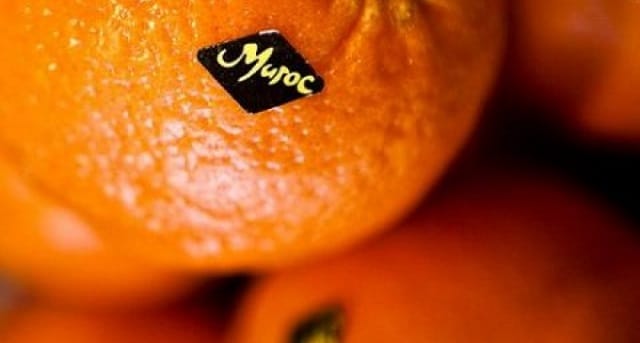 L’objectif à l’export des agrumes du Maroc loin d’être atteint