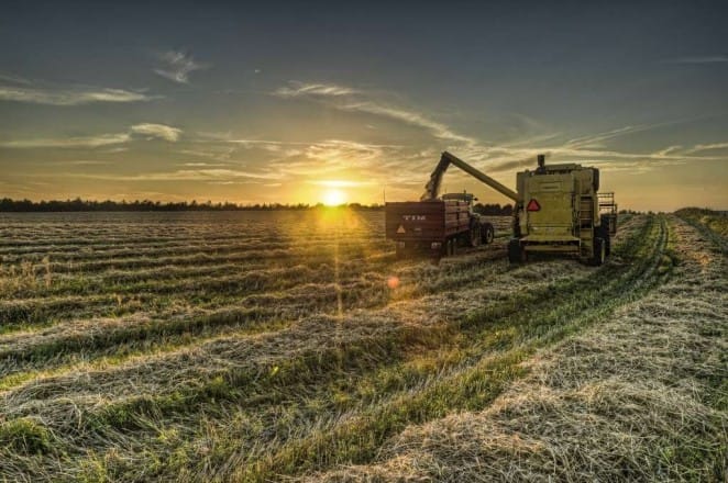 FAO: Le commerce garantit la sécurité alimentaire mondiale