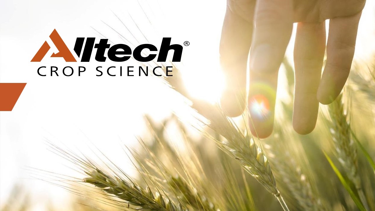 Alltech Maroc : la croissance est naturelle avec nous