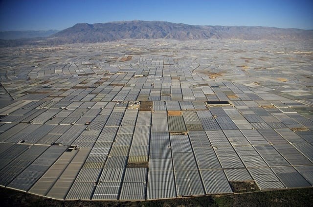 A Alméria, les surfaces de production bio augmentent de 20%