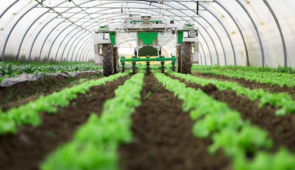 La campagne 2019-2020 en chiffres : les principales réalisations des filières agricoles