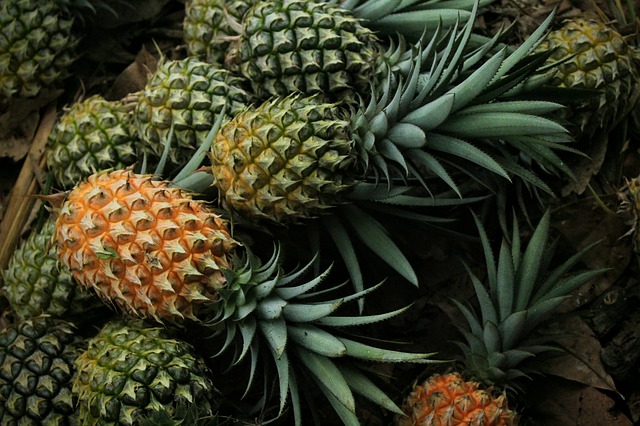 L&rsquo;ananas se fait rare sur les marchés internationaux, les prix explosent