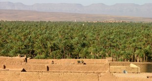 Figuig: Ouverture de la 12è édition du festival des cultures oasiennes