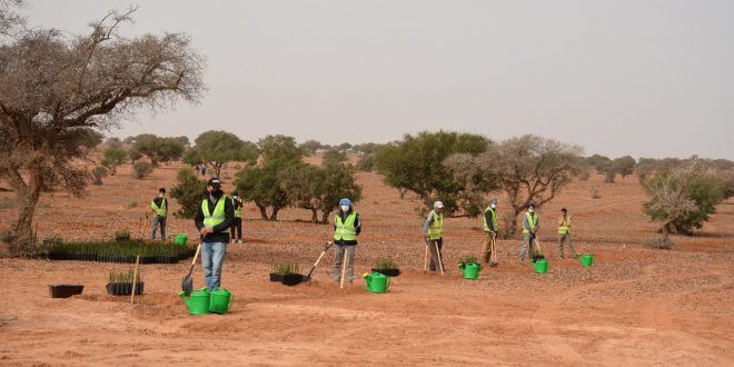 Réhabilitation de l’Arganeraie à sidi Mzal sur une superficie de 100 ha