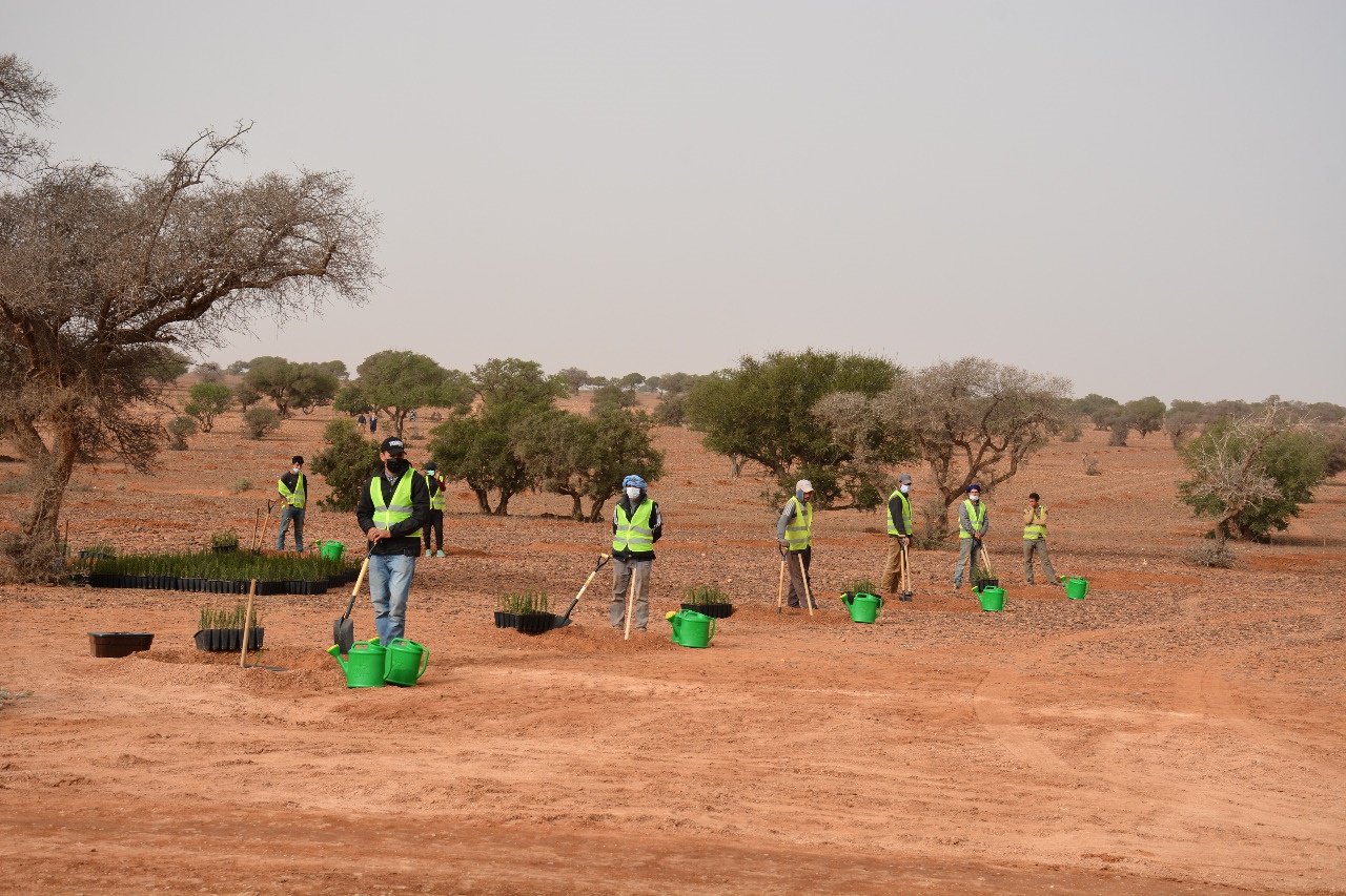 Réhabilitation de l’Arganeraie à sidi Mzal sur une superficie de 100 ha