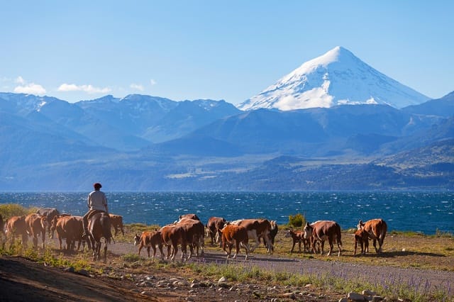 Céréales: l’Argentine inquiète les marchés