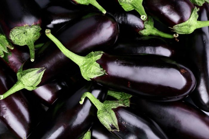 Des variétés d&rsquo;aubergines plus résistantes ?