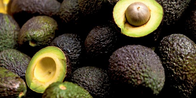 Avocats marocains la Comader dément les accusations Espagne
