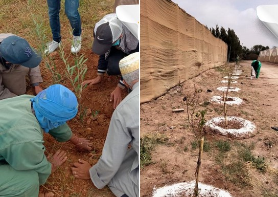 La Fondation Azura plante plus de 6.800 arbres à Chtouka-Ait Baha