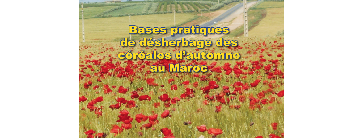Lecture: Bases pratiques de désherbage des céréales d’autonome au Maroc