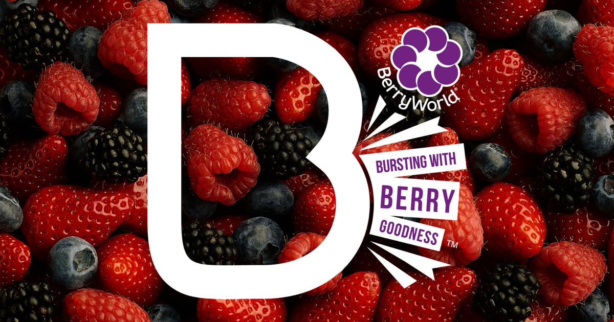 BerryWorld Espagne réunit les producteurs du Maroc et du Portugal pour la vision 2020