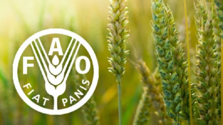 Bilan des projets menés par la FAO au Maroc