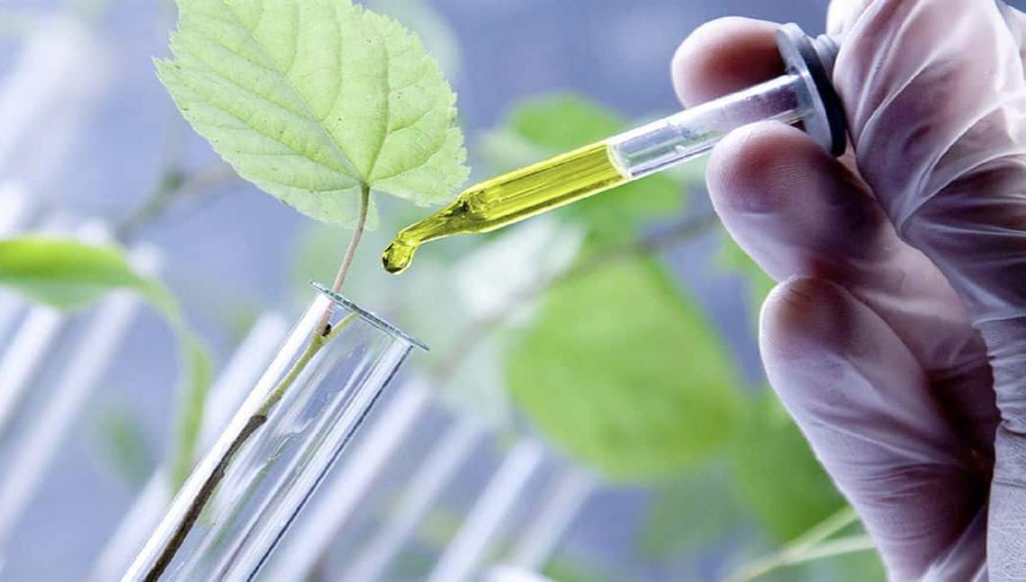 Biotechnologie: Un plan d&rsquo;innovation pour venir au secours des agriculteurs