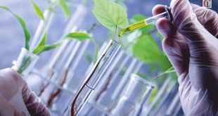 Biotechnologies-Les-États-Unis-assouplissent-les-exigences-de-certains-produits-agricoles