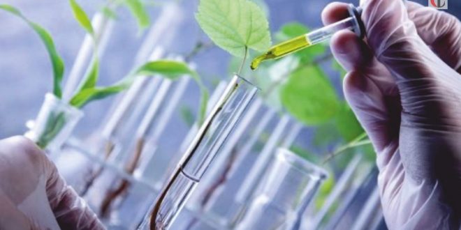 Biotechnologies-Les-États-Unis-assouplissent-les-exigences-de-certains-produits-agricoles