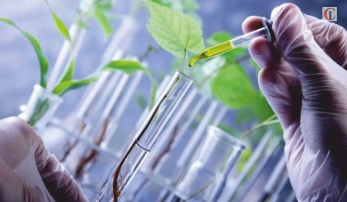 La science sera cruciale pour garantir la sécurité alimentaire en 2030