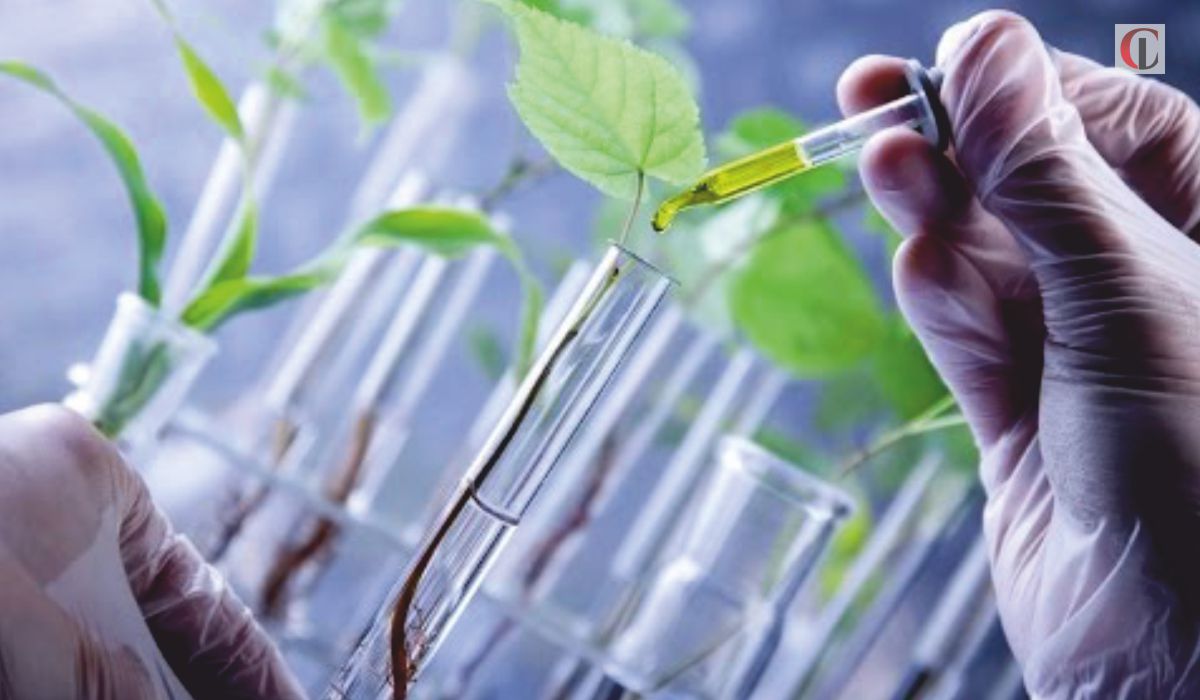 Biotechnologies : Les États-Unis assouplissent les exigences de certains produits agricoles