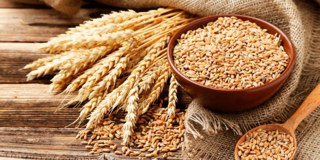Blé: La France et le Maroc signent une convention pour dynamiser l'importation du blé