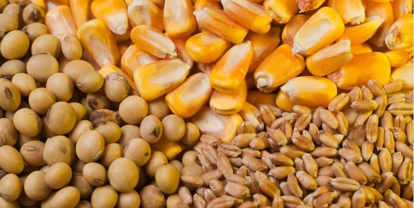 L&rsquo;Ukraine termine 2019/20 avec des exportations records de céréales