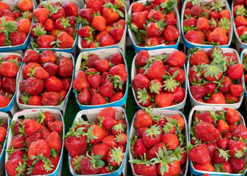Fraise : l’Égypte annonce 9 000 tonnes exportées en une semaine