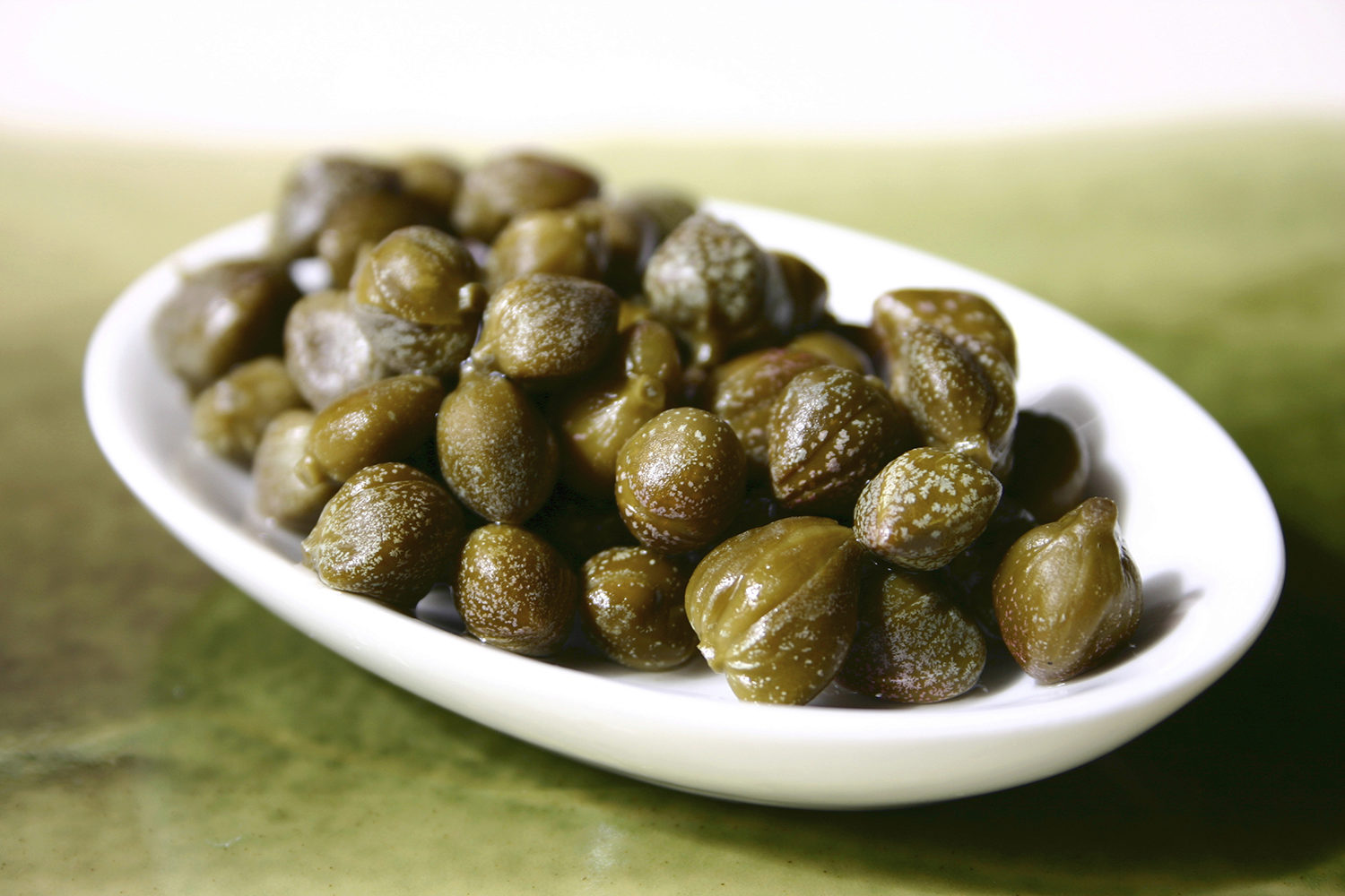 Câpre Une culture emblématique de la région de Safi